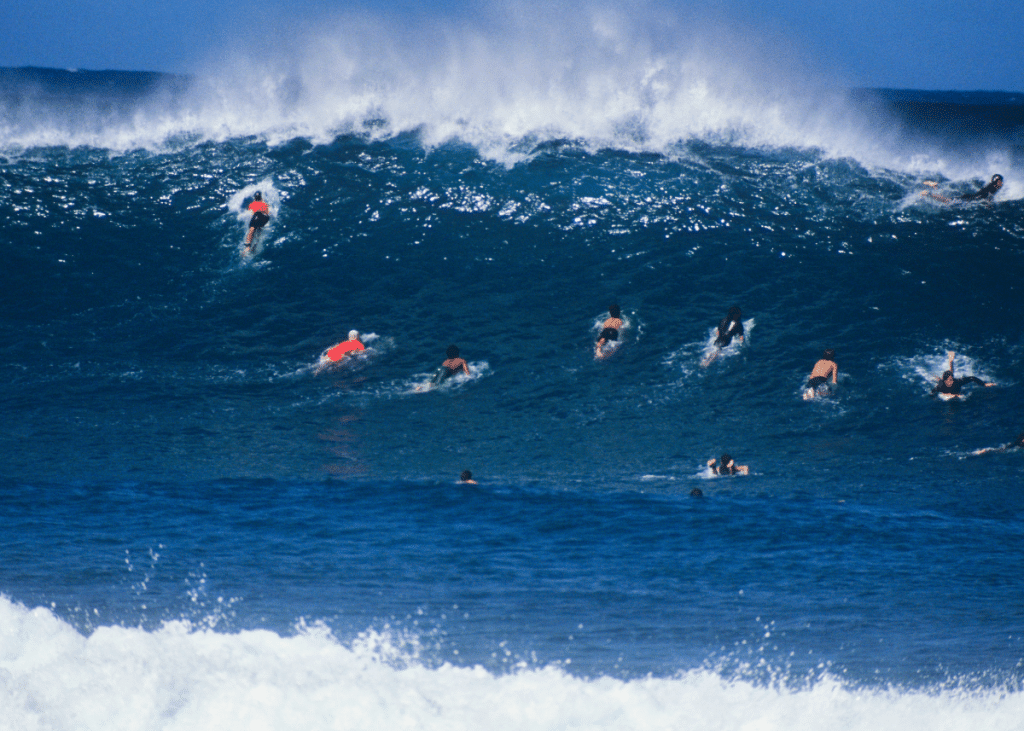 Beginner surfers in wetsuits navigate large, foaming ocean waves under a clear blue sky, with some paddling and others positioned to catch the waves.